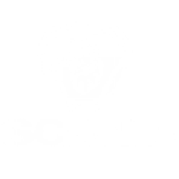 http://staging.nfb.nl/wp-content/uploads/Scania.png